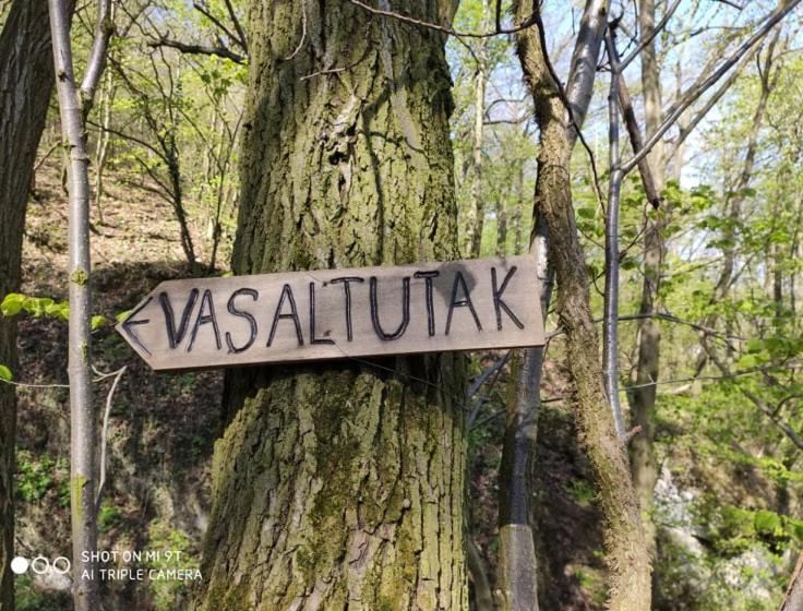 Erzsebet Vendeghaz *